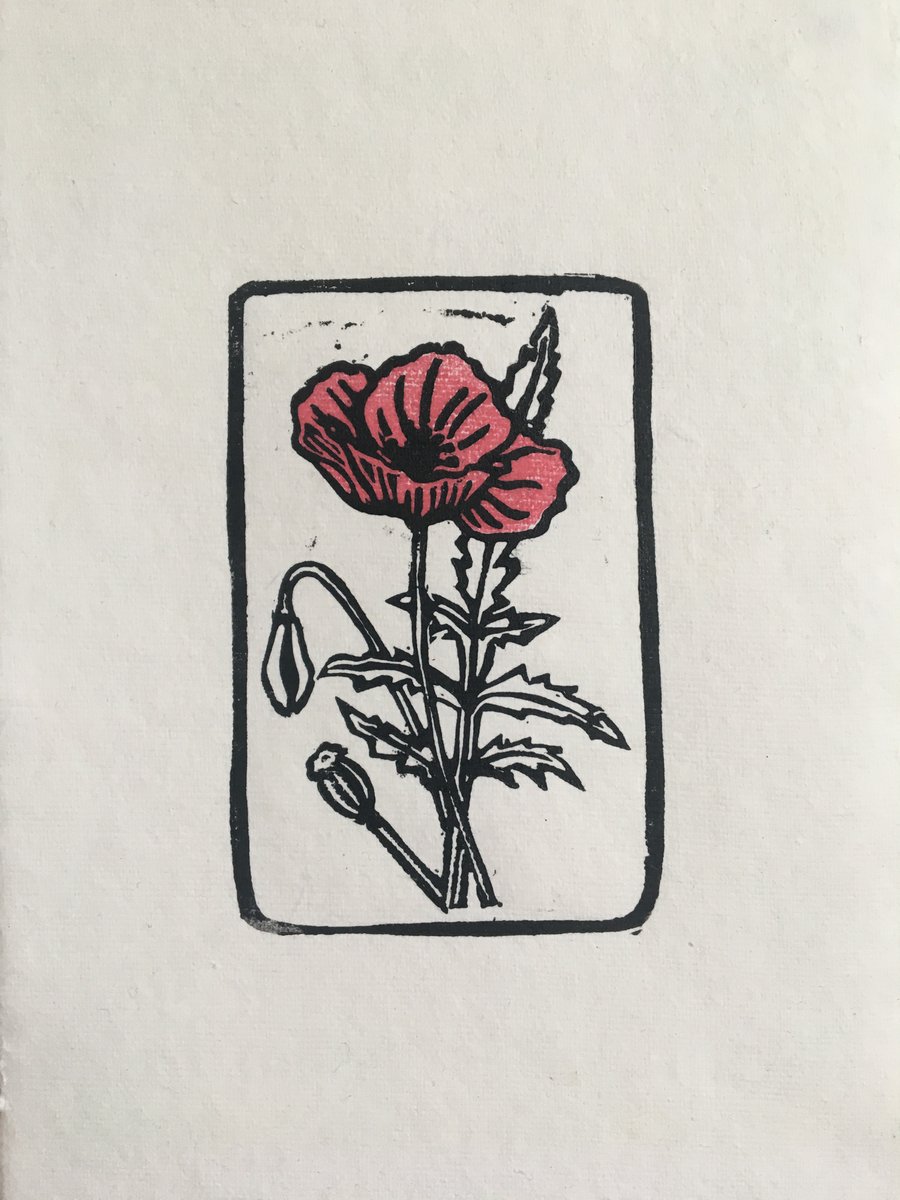Limited edition handmade linocut print, Red Poppy, on handmade paper.