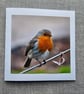 Winter Robin Large Square  Photographic Card 6" x 6" (15cm x 15cm) - Image 2