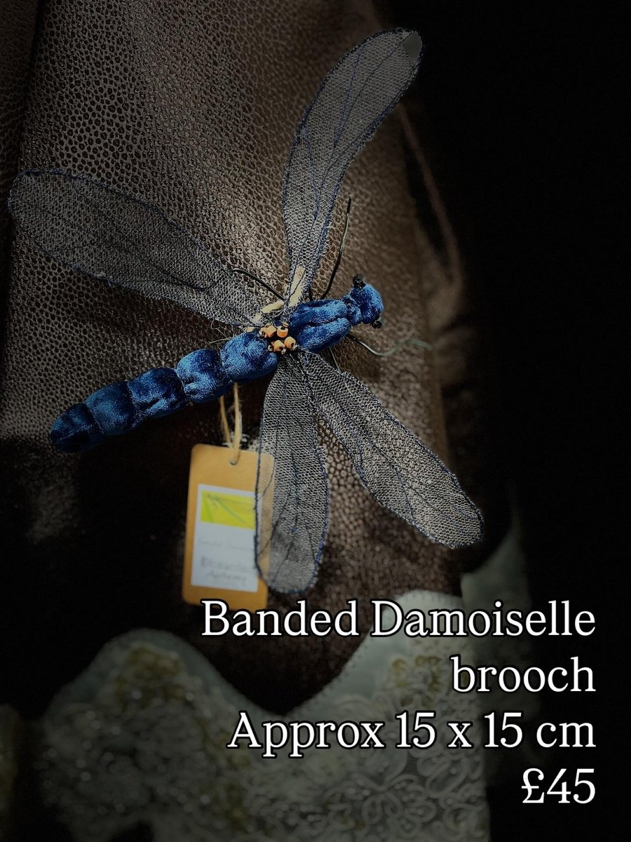 Banded damoiselle brooch