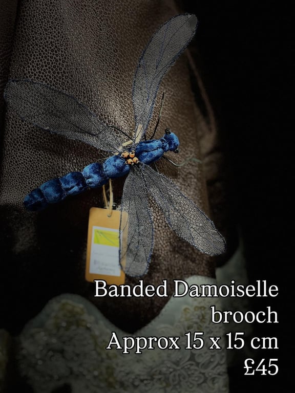 Banded damoiselle brooch