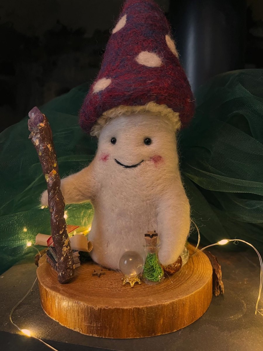 Llew the mushroom wizard