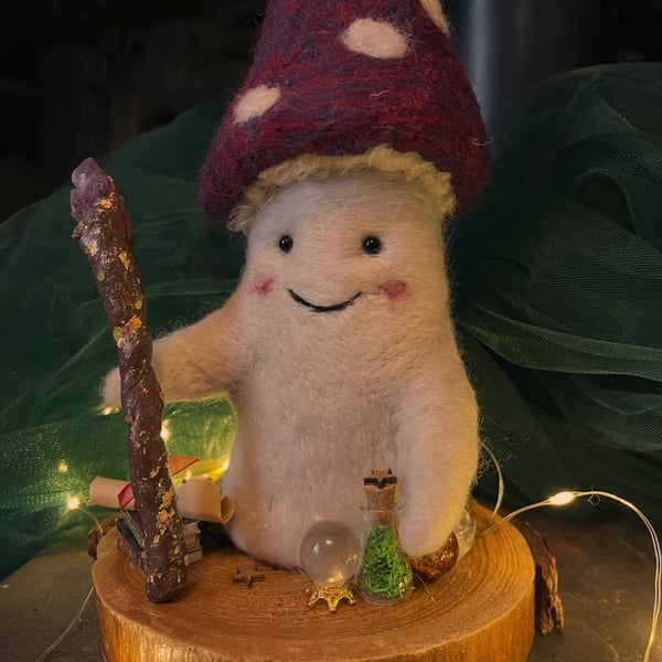 Llew the mushroom wizard