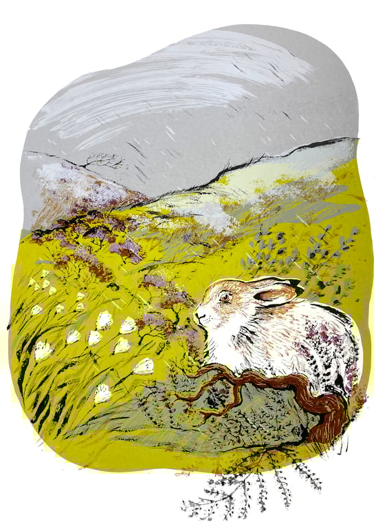 'Woodhead Hare' Serigraph Silkscreen Print