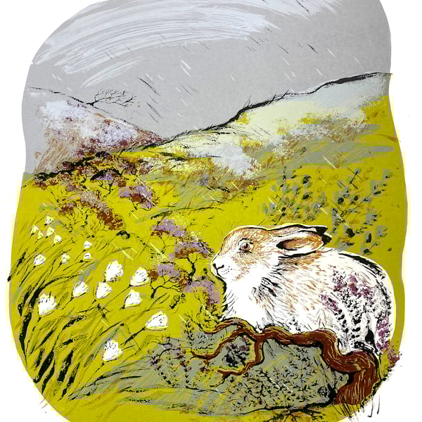 'Woodhead Hare' Serigraph Silkscreen Print