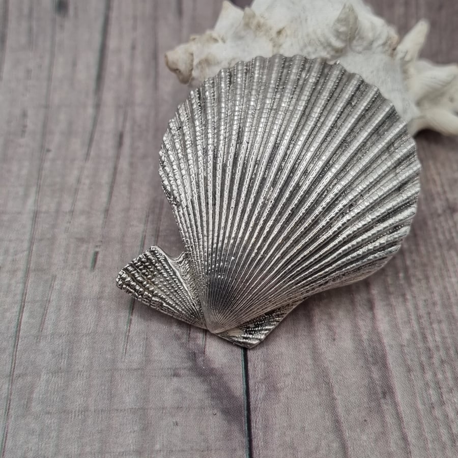 Real scallop seashell preserved in silver, beautiful ornament 