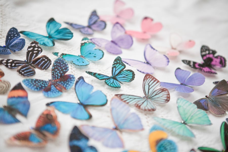 Silk Butterfly hair clips with Swarovski Crystal - Choose any 3.