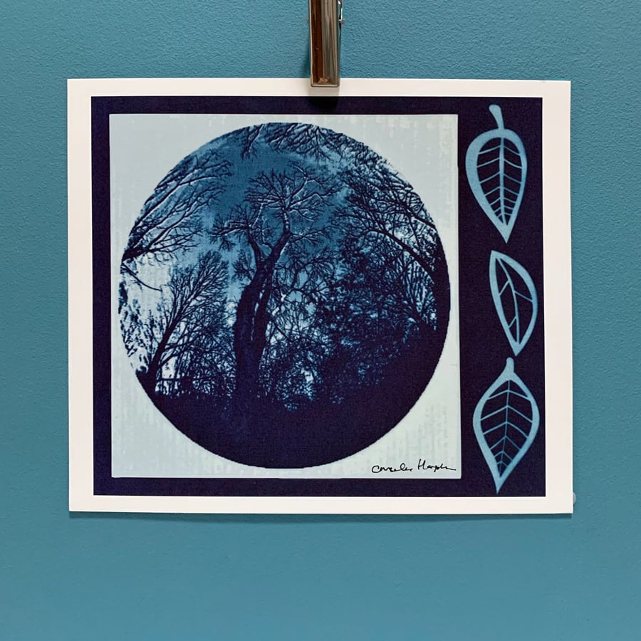 Digital Print from original Cyanotype print - Blueprint - Tree in the Moon