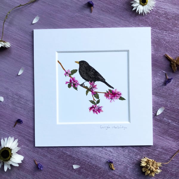 'Blackbird' 5" x 5" Mounted Print