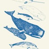 Whales and Narwhals - Live and Let Live Tea Towel