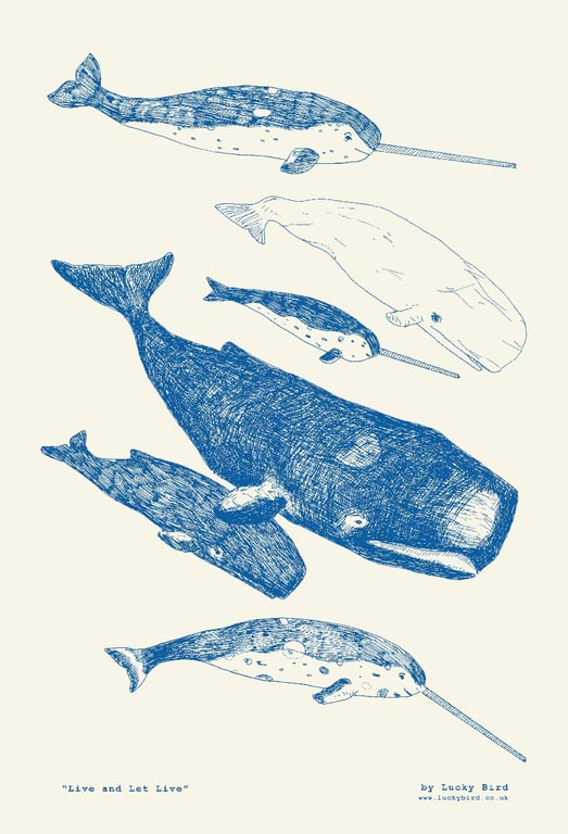 Whales and Narwhals - Live and Let Live Tea Towel