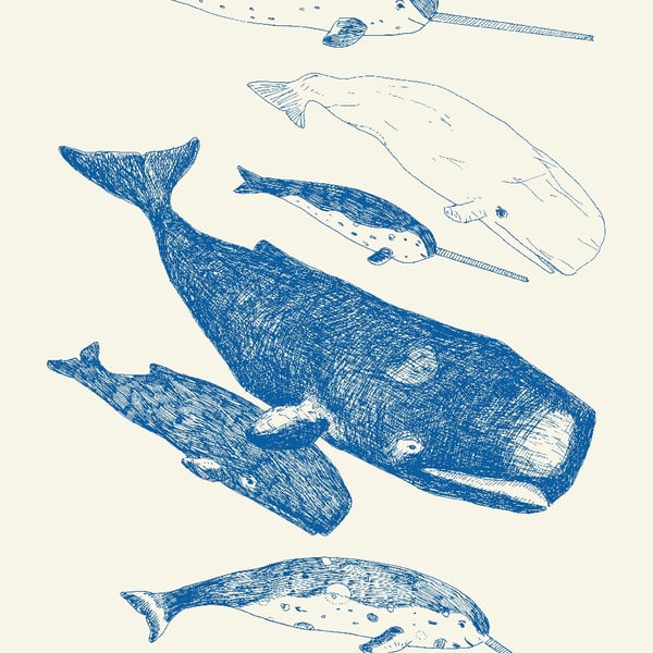 Whales and Narwhals - Live and Let Live Tea Towel