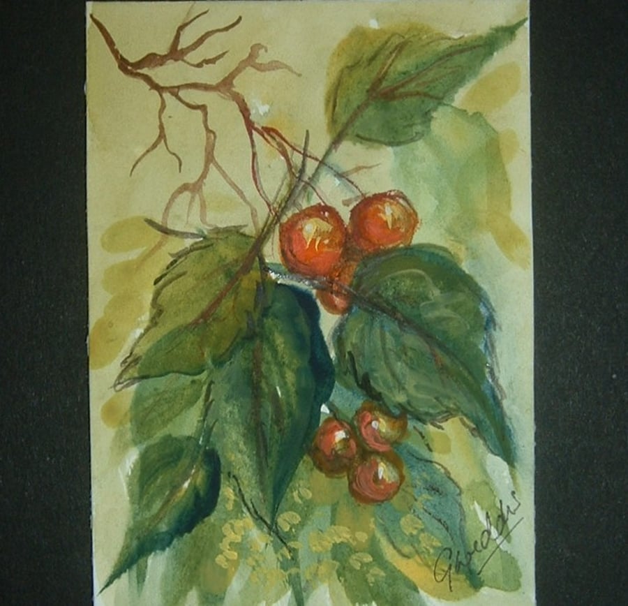winter berries aceo art painting watercolour ref 313