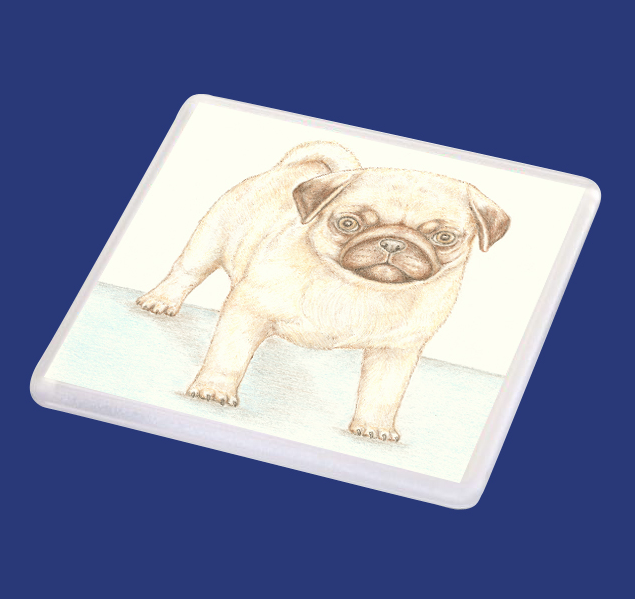 Titus the Pug - Coaster