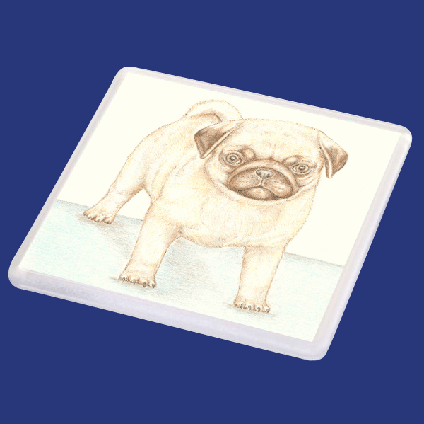 Titus the Pug - Coaster