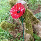 Steel Poppy Decorative Wall Hanging, Red, Garden Décor, Forever Flower