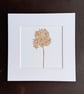 'Dried Hydrangea' 8" x 8" Mounted Print