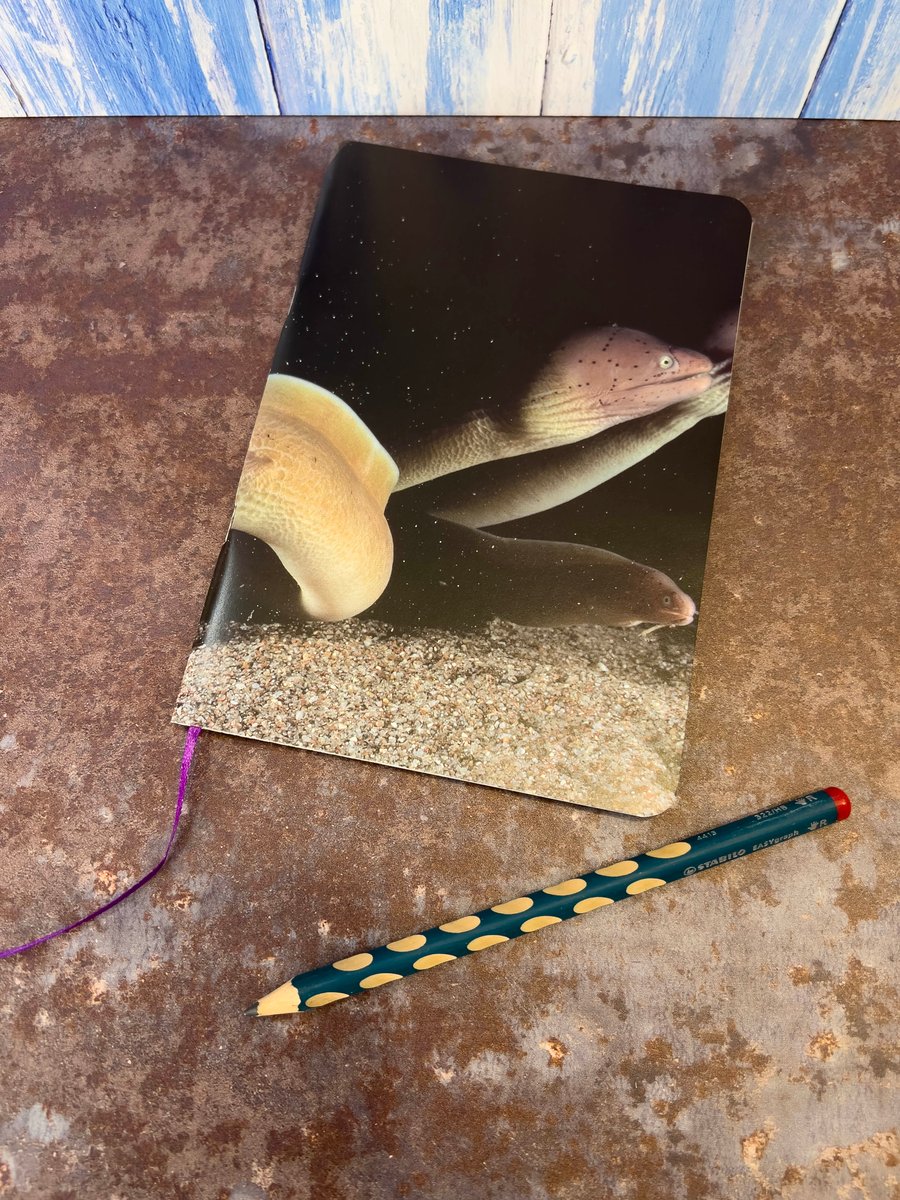 Notebook, Marine themed, A5 (ish), made from up-cycled and recycled materials.