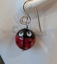 Handmade Murano Glass Ladybird Earrings on Sterling Silver Earwires - Image 3