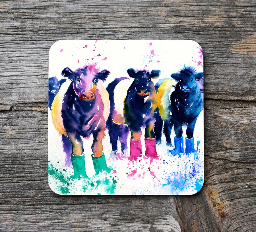 Belted Galloway cow coaster, Funny Cow Coaster.