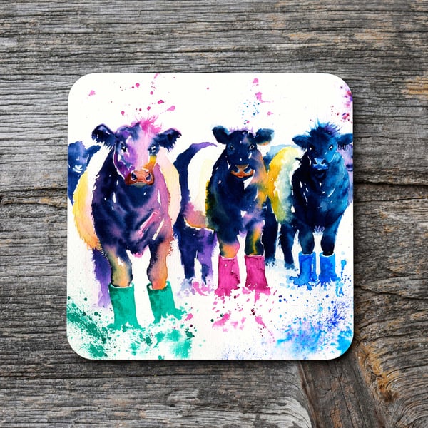 Belted Galloway cow coaster, Funny Cow Coaster.