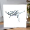 Blue whale art card  offer 
