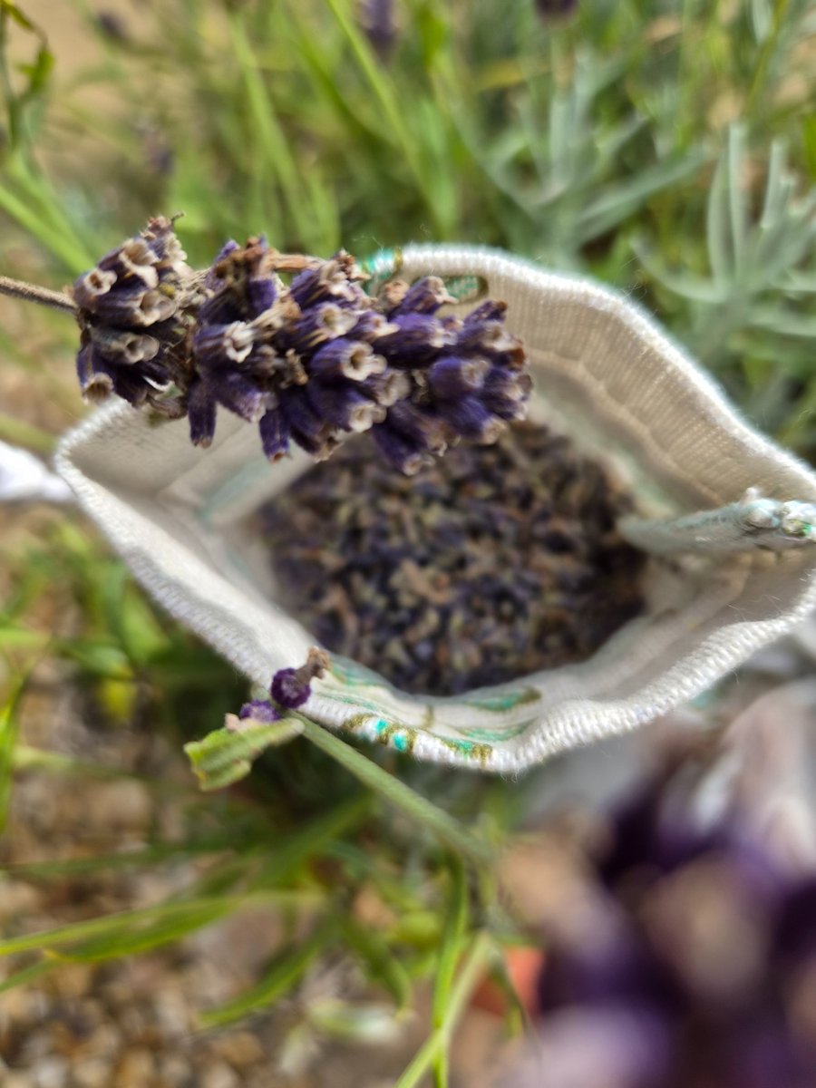 Lavender Bags