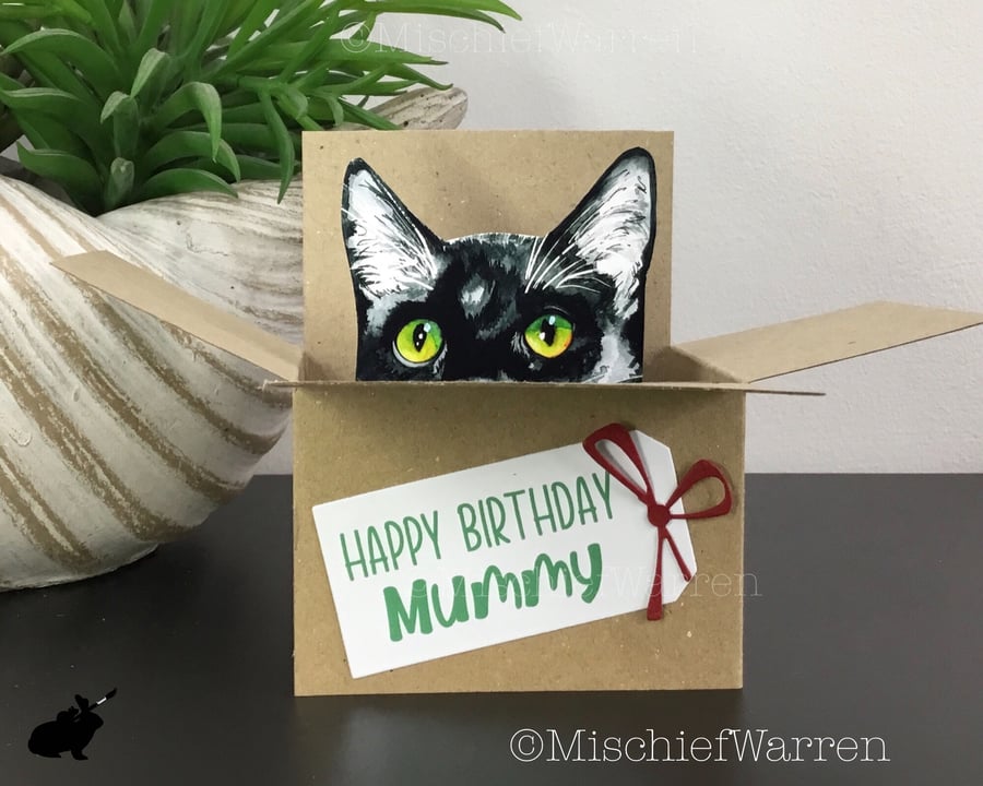 Personalised Black & White Cat Card - 3D box card for any occasion 