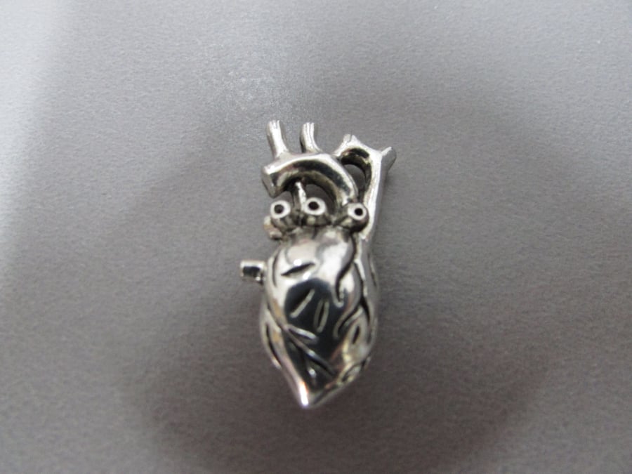 Anatomical Heart Jewellery making charm pendant