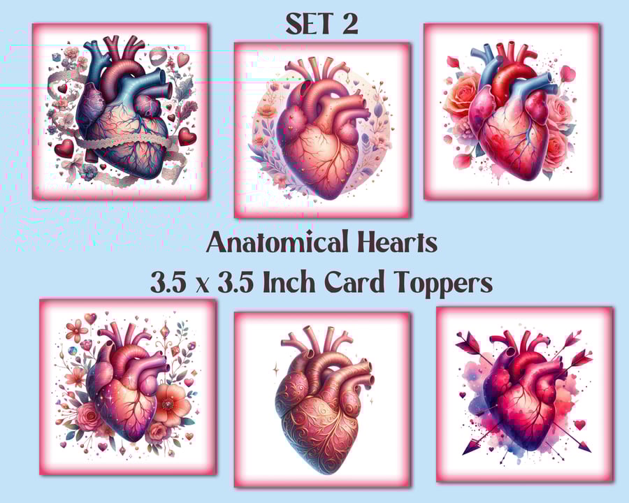 Anatomical Hearts Square Card Toppers Valentine's Card Making, Tags, Scrapbooks