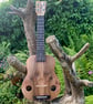 Concert Ukulele.  handmade from Scottish hardwoods
