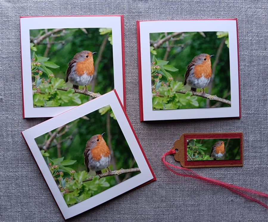 Small Robin Photo Cards Size 5" x 5" Pack of 3 with one-off Gift Tag