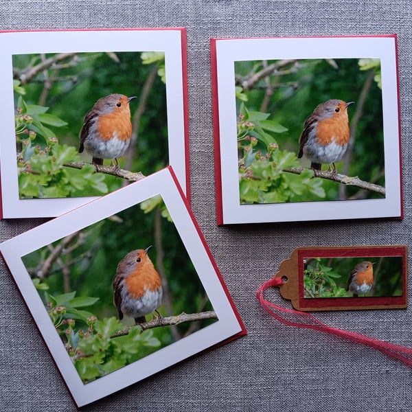 Small Robin Photo Cards Size 5" x 5" Pack of 3 blank cards with one-off Gift Tag