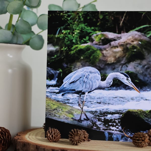 Gone Fishing - Grey Heron - Blank Greetings Card