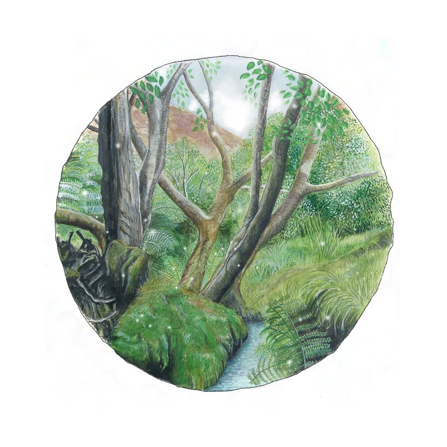 'The Silver Birch down in the Hollow'