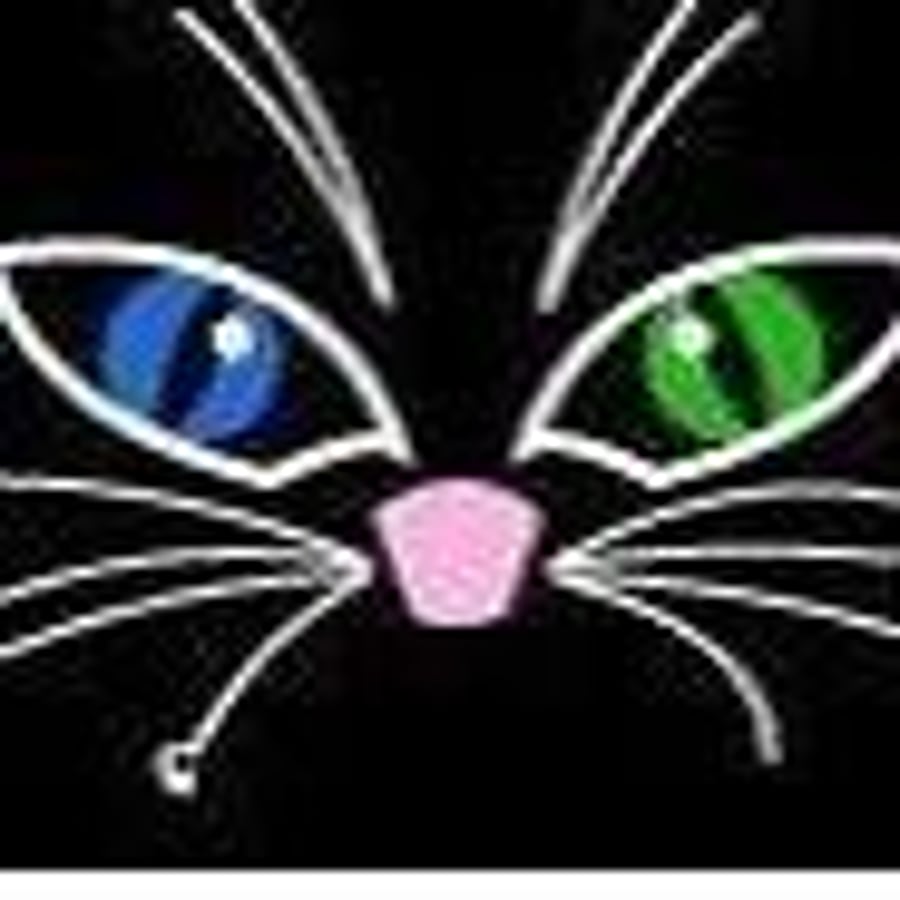 Black cats Whiskers 
