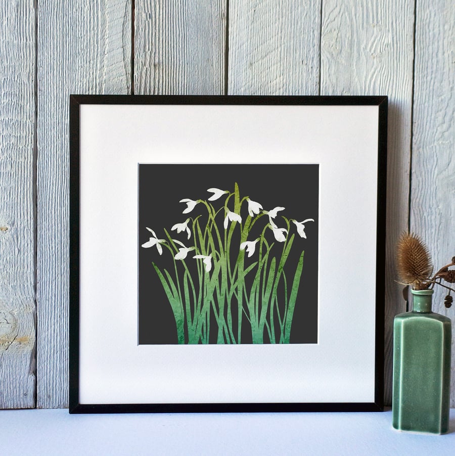 Snowdrops Fine Art Print