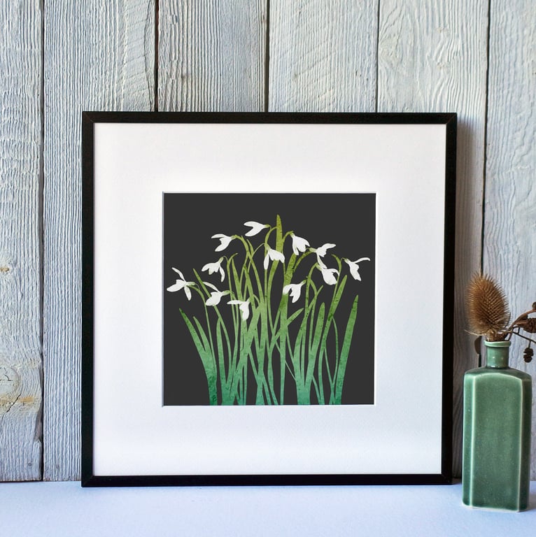 Snowdrops Fine Art Print