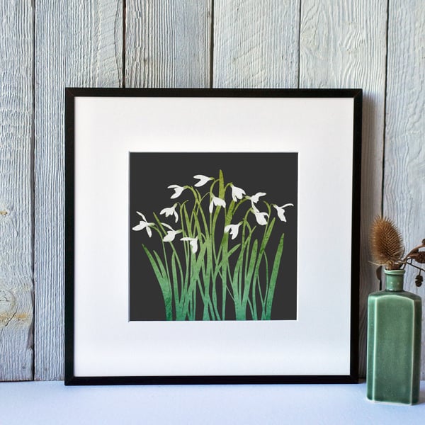 Snowdrops Fine Art Print