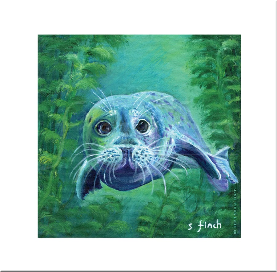 Spirit of Seal - Blank Greeting Card with nature spirit totem message