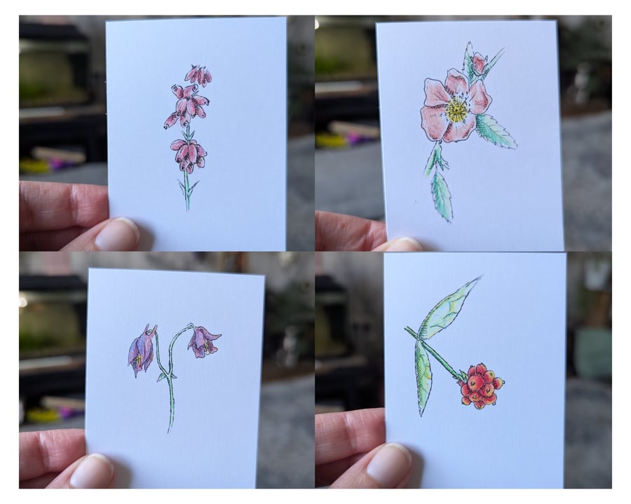 Set of 13 Wildflower ACEOs