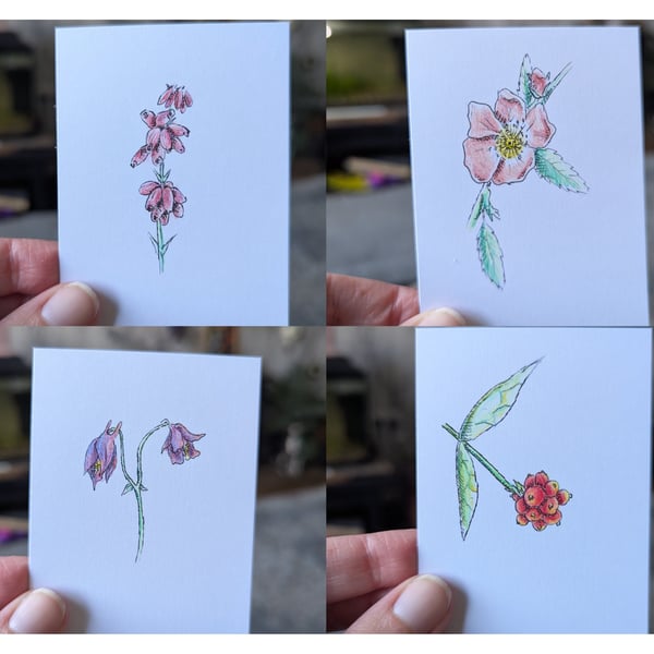 Set of 13 Wildflower ACEOs