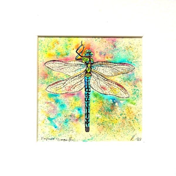 Dragonfly  Watercolour Original Painting