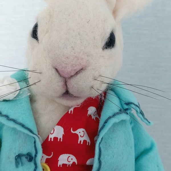 White Rabbit from Alice in Wonderland 