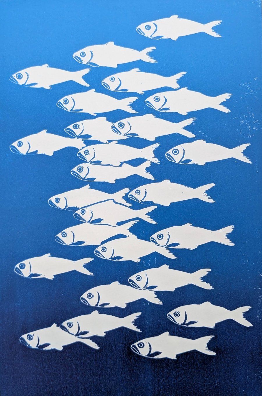 Shoaling