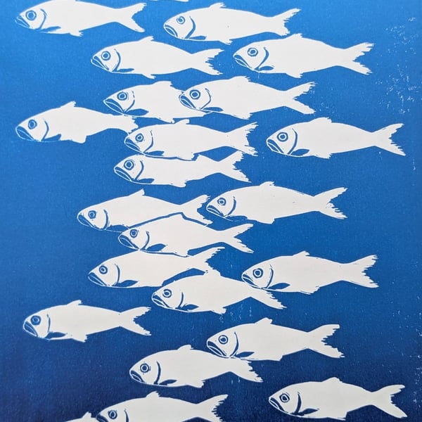 Shoaling