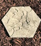 Stepping Stones, Insect Drinkers, Setof 5 - Image 6