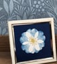 Pretty Botanical Gift, Cyanotype Original Photogram, Botanical Art. - Image 2