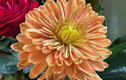 Floral Art