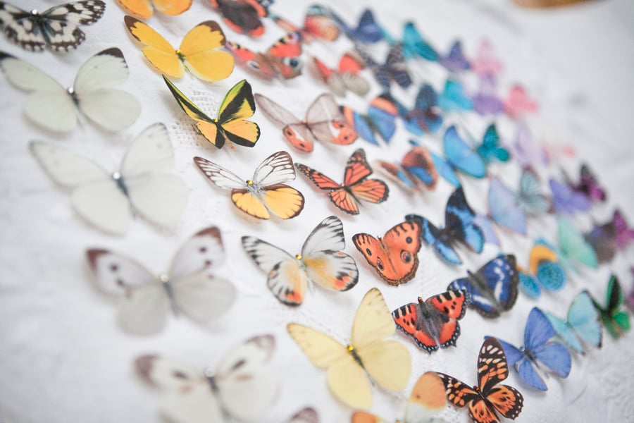 Silk Butterfly hair clips with Swarovski Crystal - Choose any 5.