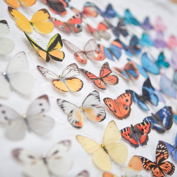 Silk Butterfly hair clips with Swarovski Crystal - Choose any 5.